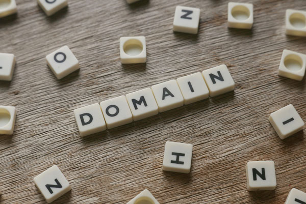 Annual domain name cost